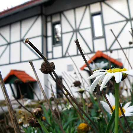 Bed & Breakfast Dom Potok *