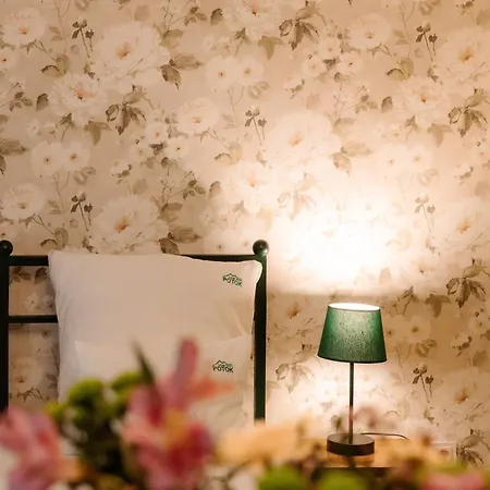 Frühstückspension Dom Potok 3*