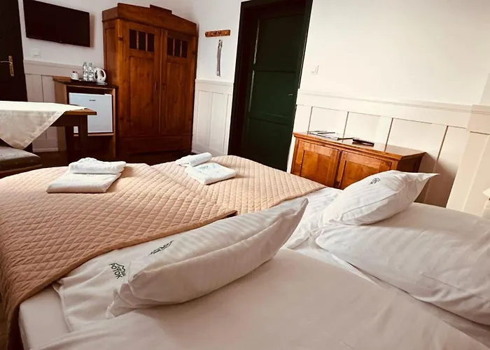 Dom Potok 3* קרפאז'