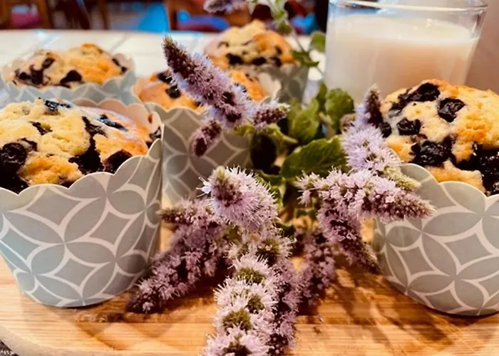 Dom Potok קרפאז'