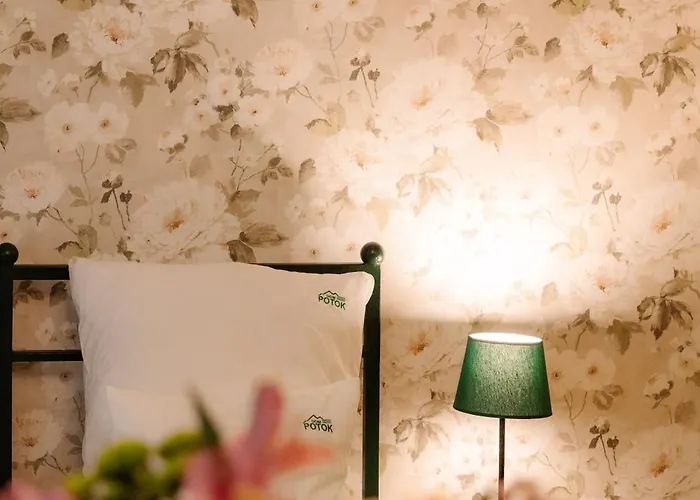 לינה וארוחת בוקר Dom Potok 3*