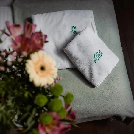 Bed & Breakfast Dom Potok *