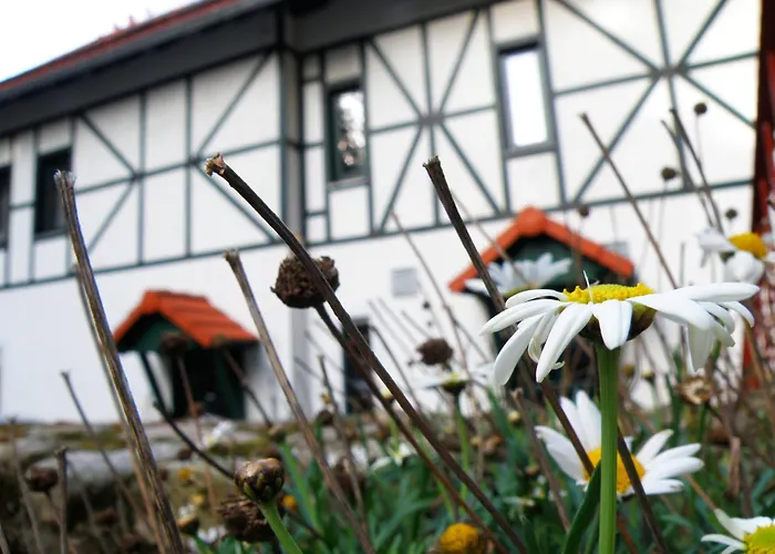 Bed & Breakfast Dom Potok 3*